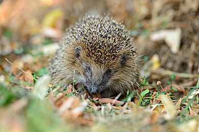 《古墓丽影》新作开发接近完成 已进入打磨阶段